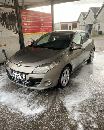 Renault Megane cena 18900 przebieg: 245950, rok produkcji 2009 z Wrocław małe 67